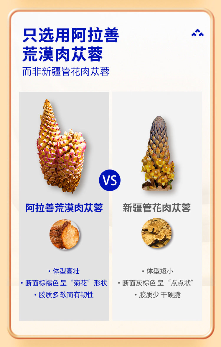 c2aebd6e-41a8-4c29-9f5e-1b01528d7503